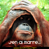 singe